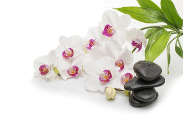 Naklejka na ściany i meble Spa white orchid with massage stones on white