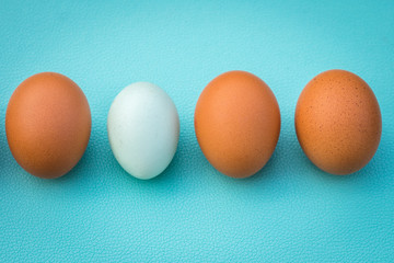 quatre oeufs sur fond vert dont un à la coquille blanche