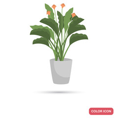 F;owering homeplant olor flat icon