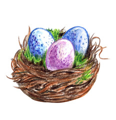 Multicolored eggs in a nest, watercolor drawing on a white background, isolated with clipping path.