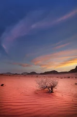 Foto auf Acrylglas colorful sunset in sand desert in Jordan © sergejson