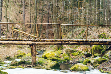 A beautiful wooden bridge over a frozen stream in a deep forest