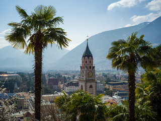First trees blooming in Merano, Italy - Church tower and Mountains - obrazy, fototapety, plakaty