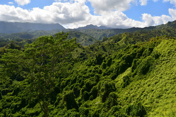 Obraz premium Kauai island