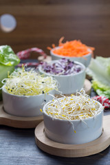 Ingredients for healthy salad. Raw fresh young organic sprouts of leek, alfalfa, red reddish and carrot in bowls, green lettuce close up