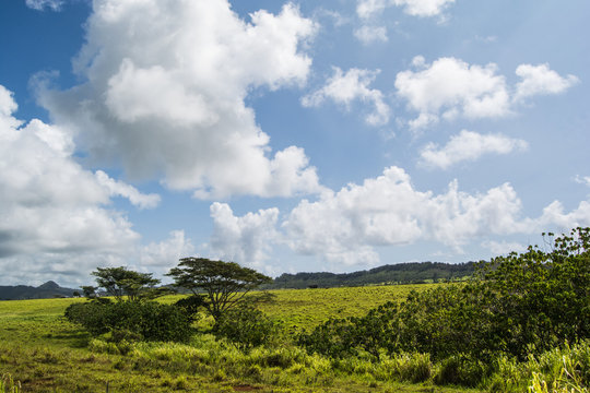 Kauai island