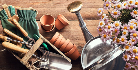 Gardening theme with flowers, pots, garden tools