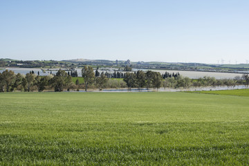 Zona rural de cultivos inundados por el desbordamiento del r&iacute;o