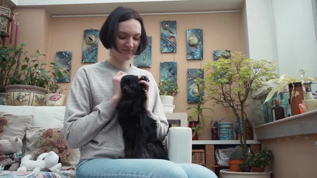 Young girl playing with cute black chihuahua dog sitting on sofa in living room