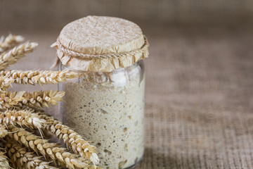 The leaven for bread is active. Starter.sourdough. The concept of a healthy diet