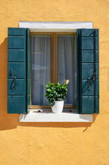 Window with green shutters and yellow flowers in the pot.  Traditional colorful walls and windows. Italy, Venice, Burano