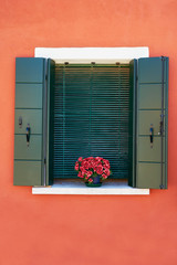 Window with green shutters and red flowers in the pot.  Traditional colorful walls and windows. Italy, Venice, Burano