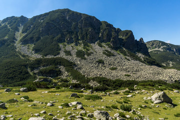 Fototapeta na wymiar Landscape of Begovitsa River Valley and Yalovarnika peak, Pirin Mountain, Bulgaria