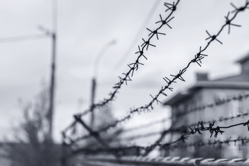 barbed wire fence enclosing the prison and places of detention for prisoners punished for committing criminal offences