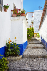 Fototapeta premium Streets of beautiful Obidos, Portugal