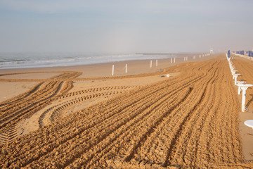 on the sandy beach cleaning, after winter, preparation for the holiday season in Italy. Wooden trunks in on the seashore after a sea storm. dense sea breeze at dawn