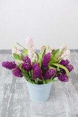 Bouquet of Beautiful violet and pink hyacinths. Spring flowers in vase on gray table background. bulbous plant
