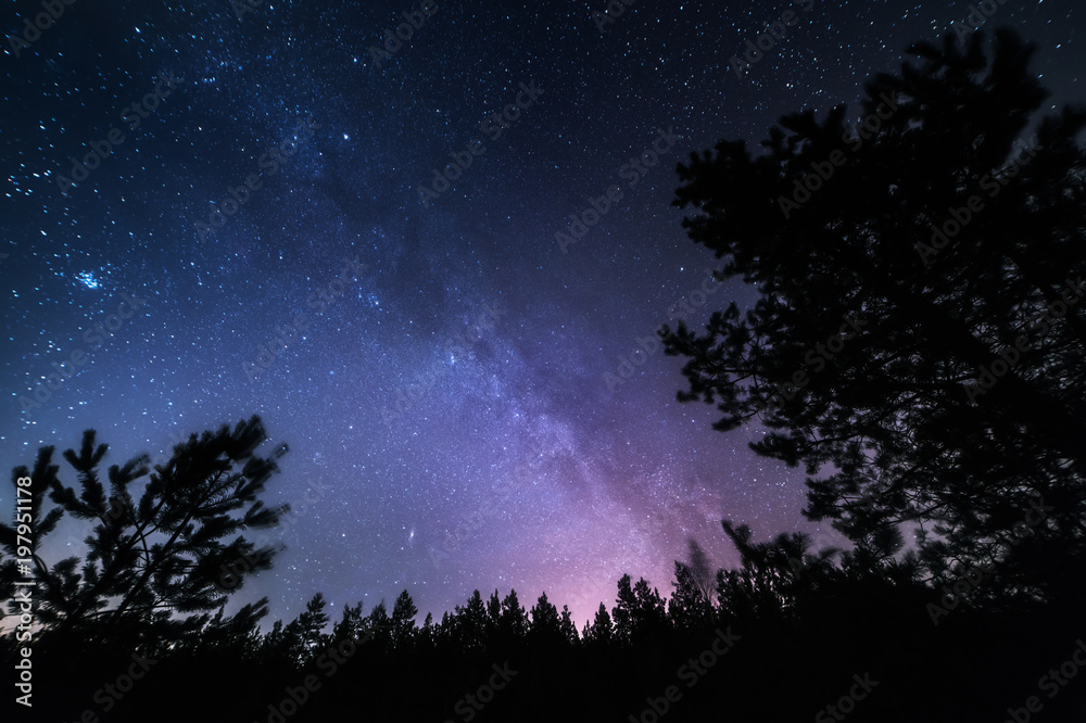 Wall mural stars space landscape. milky way galaxy at dark night