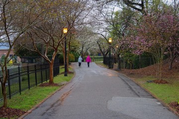 Two ladies walking in the rain in a park