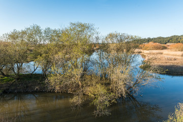 Pateira de Fermentelos