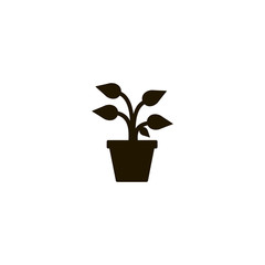 plant icon. sign design