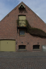 Fototapeta na wymiar A red bricked house with a plant growing on the wall in Brugge,belgium