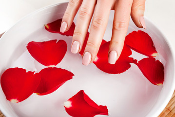 Girl hand with natural nails color touch water in bowl with red rose petal. Manicure concept. Close up, selective focus