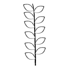 tree branch with leafs vector illustration design