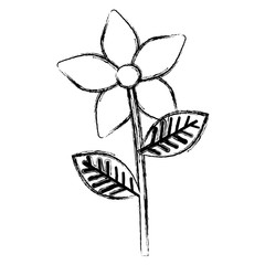 beautiful flower decorative icon vector illustration design