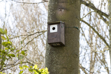 Biird house attached to a tree outdoors
