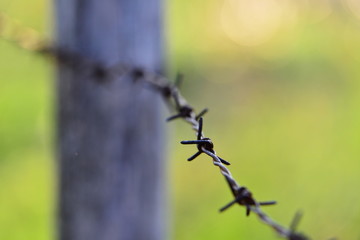 Old rusty barbed wire