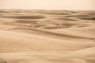 Naklejka premium Shapes of sand dunes at Lençois Maranhenses 