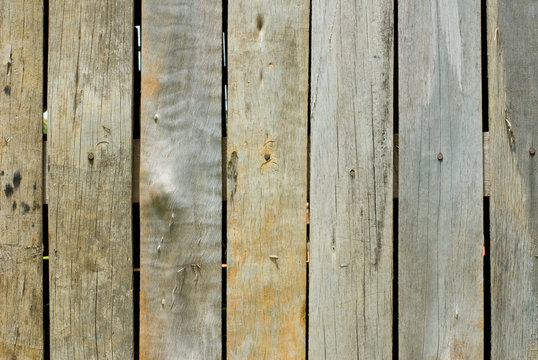 wood texture, textura de madeira, madeira, wood, wood light, madeira clara, parede de madeira wood wall
