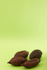cocoa pod on green background