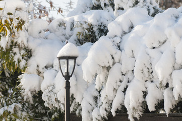 街灯に積もる雪
