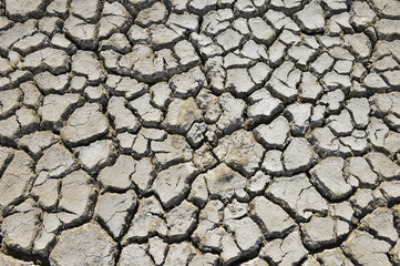The parched soil