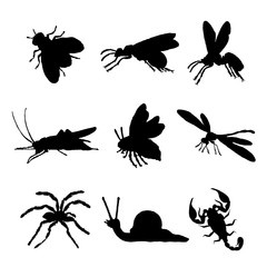 Insect Animal Icon Flat Isolated Black Silhouette Bug Ant Butterfly Spider Vector