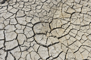 The parched soil