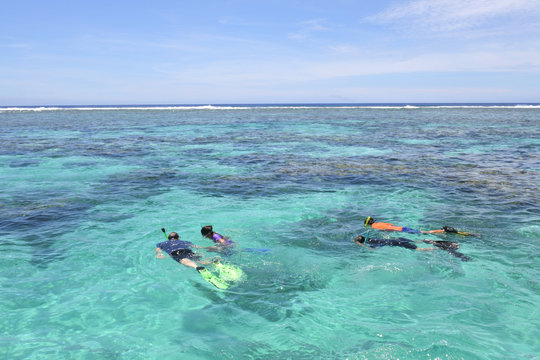 Tourists snorkelling in Rarotonga Cook Islands