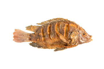 tilapia fish deep fried isolated on white in top view