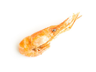 fried shrimps isolated on white in top view