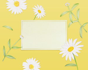 Flower illustration. Daisy.