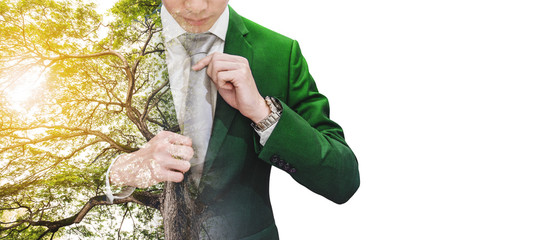 Double exposure businessman in green suit with big tree and sunlight, on white background with copy...