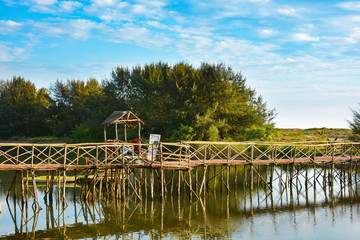 River on the beach in Mandrem with a wooden bridge on stilts in Northern Goa.India