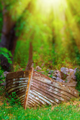 Photo of old rusty boat in the forest near the river with sunlight
