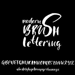 Handdrawn dry brush font. Modern brush lettering. Grunge style alphabet. Vector illustration.