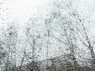 rain drops at a window, blurry bare trees  in the background, bad weather concept