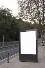 Empty / blank vertical outdoor advertising billboard by Bosphorus in Istanbul.