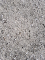 Textura de arena natural gris con piedras blancas de fondo