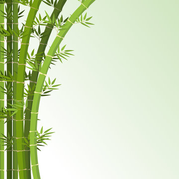 Background template with bamboo trees